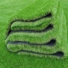 GRASS CARPET(6/40FT) - Image 2